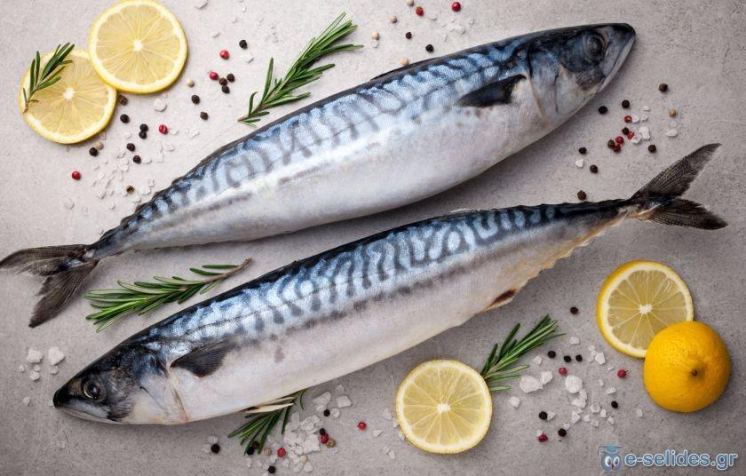 Πατήστε για να δείτε την φωτογραφία σε κανονικό μέγεθος