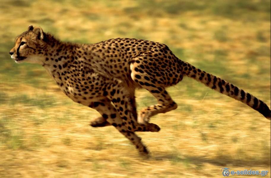 Πατήστε για να δείτε την φωτογραφία σε κανονικό μέγεθος