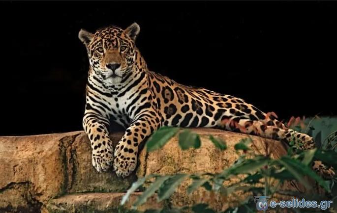 Πατήστε για να δείτε την φωτογραφία σε κανονικό μέγεθος