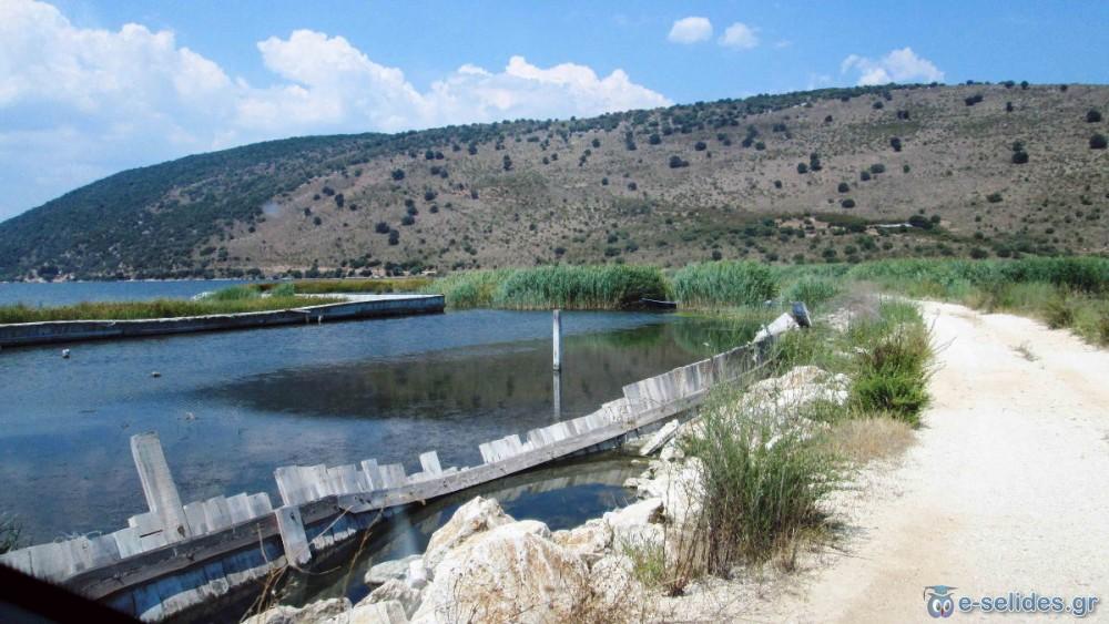 Πατήστε για να δείτε την φωτογραφία σε κανονικό μέγεθος