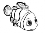 Nemo_1